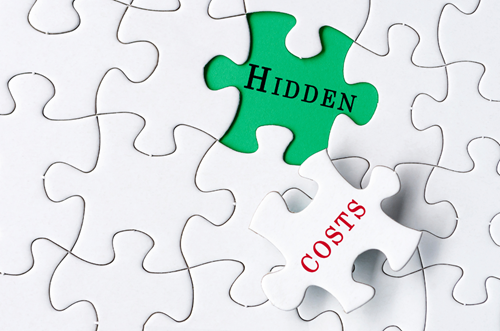 image of puzzle with the words Hidden and Cost
